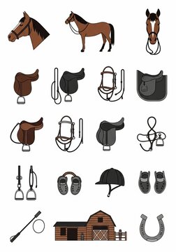 Equestrian Equipment and Horse Illustrations - A Comprehensive Vector Set.