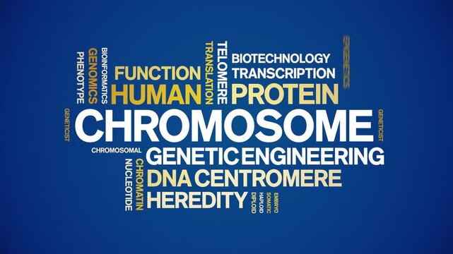 Chromosome animated word cloud-text design animation tag kinetic typography seamless loop.