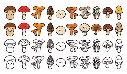 Fototapeta premium Hand drawn mushroom color and outline vector set for kids coloring pages and activities