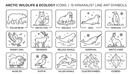 Arctic wildlife icons, ecology symbols, minimal line art, 15 animal illustrations © Rosie