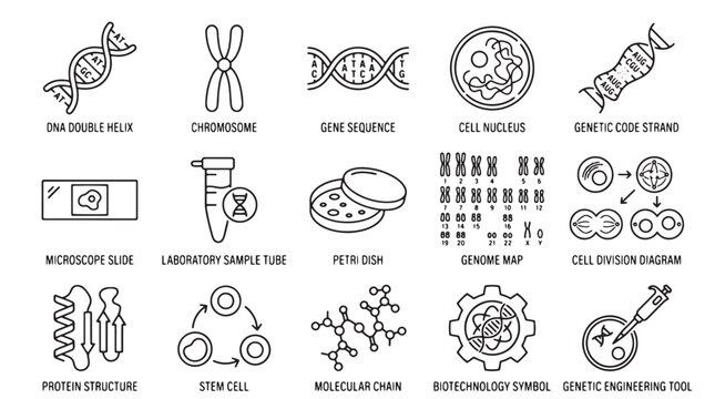 Genetic engineering icons, biotechnology symbols, molecular biology illustrations, science vector set