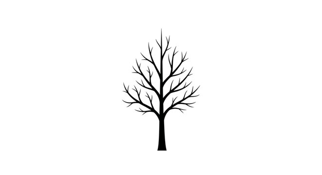 Leafless deciduous tree in winter, isolated white background.