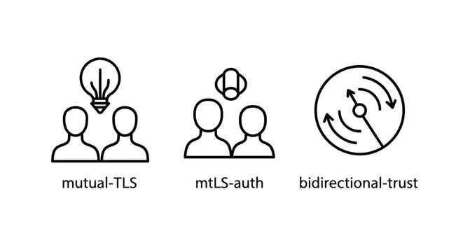 Set of network security and authentication icons illustrating mutual tls bidirectional trust with authentication security connection bidirectional encryption communication identity validation