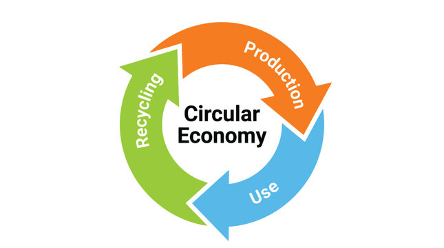 Vibrant colorful vector illustration of a circular economy process cycle with arrows and text labels