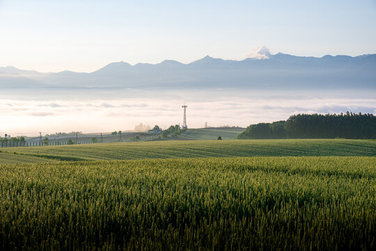 十勝岳連峰」の写真素材 | 4,455件の無料イラスト画像 | Adobe Stock
