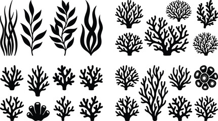 Seaweed and Coral Silhouette Collection with Marine Ocean Plant Elements for Underwater Nature Vector Design Projects © Joy