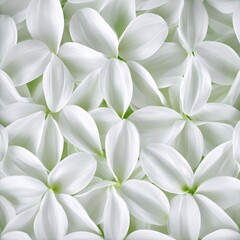 Fototapeta premium Macro photography of white dahlia petals creating geometric patterns floral art nature close-up view abstract design