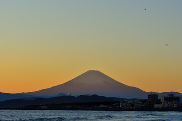 Fototapeta premium 茅ケ崎海岸から見る夕景と富士山