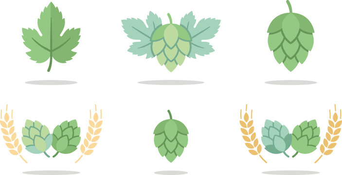 Set of hops and barley illustrations symbolizing beer brewing ingredients in modern flat vector style for craft beverage design