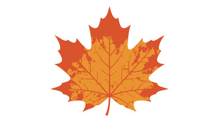 Obraz premium Vibrant Orange Maple Leaf Closeup.