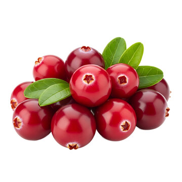 Fresh ripe cranberries with green leaves isolated on transparent background
