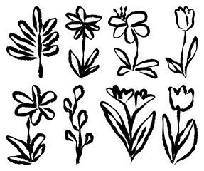 Obraz premium PNG Hand-drawn floral doodle collection on transparent background