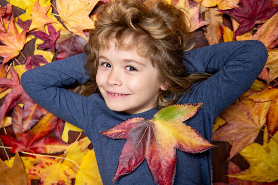 Autumn kid portrait in fall leaf park. Cute child face in autumn outdoors with happy expression. Kid enjoying autumn day with yellow maple and oak leaves. Autumn season for kids fun and emotions.