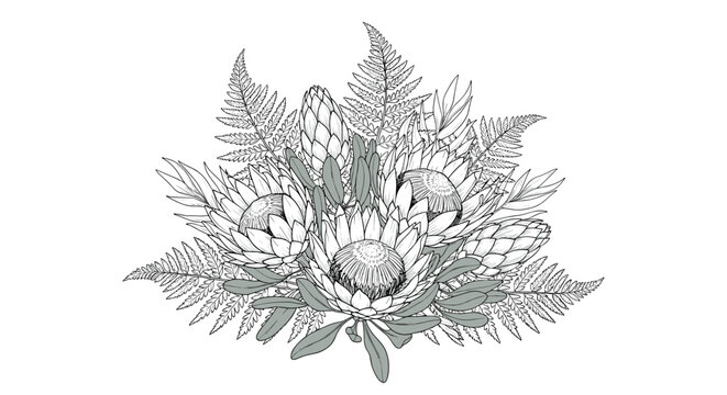Detailed black and white botanical sketch of a protea flower bouquet accented with delicate fern fronds for elegant floral art.