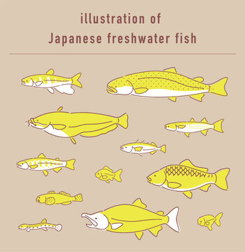 日本の淡水魚のイラストセット
