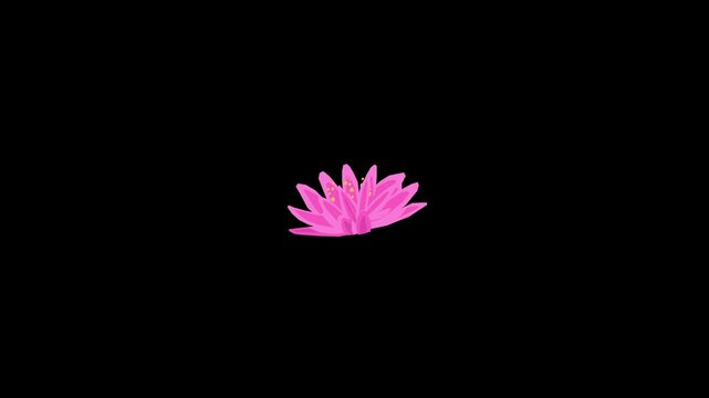 Lotus flower icon animation isolated on alpha channel background 