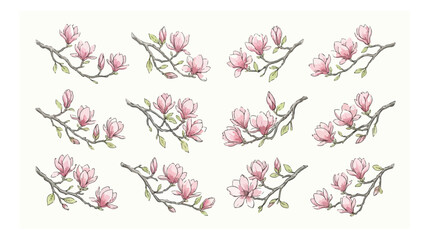 Watercolor magnolia blossom branches set, hand drawn pink floral elements, 12 spring flower vector illustrations for wedding invitations and greeting cards © HayeGareebi