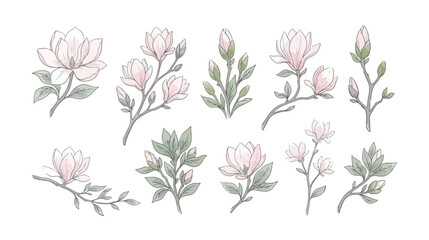 Vintage watercolor magnolia flower set, elegant pink floral branches with green leaves, hand drawn botanical vector elements for wedding invitations © HayeGareebi