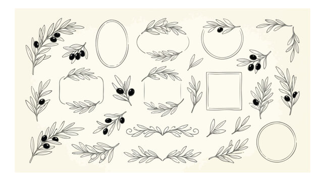 Vintage hand drawn olive branch frames and borders, elegant botanical line art collection, rustic olive leaf wreaths and dividers vector set