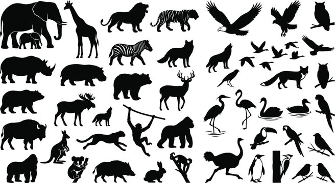 Wild animals and birds silhouettes collection vector set with elephant tiger lion deer eagle owl flamingo and monkey for wildlife design decoration