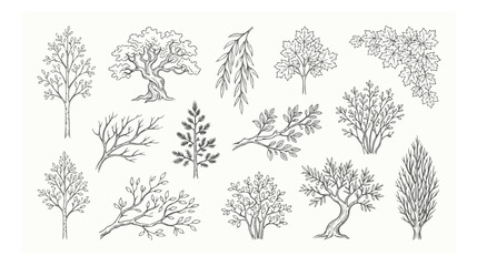 Vintage hand drawn tree collection, 15 black ink botanical sketches and foliage elements, rustic forest woodcut vector set for landscape design © HayeGareebi