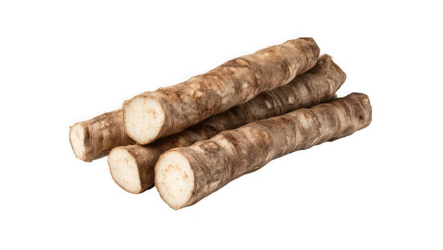 Sliced burdock roots on transparent background