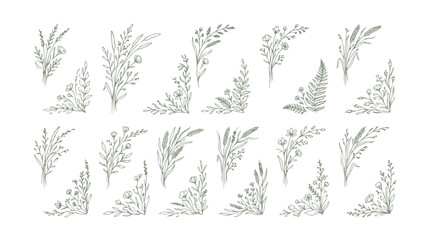 Hand drawn botanical line art collection, 20 delicate floral sketches and corner borders, minimalist sage green wildflower vector illustrations © HayeGareebi