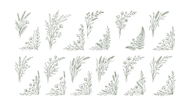 Hand drawn botanical line art collection, 20 delicate floral sketches and corner borders, minimalist sage green wildflower vector illustrations