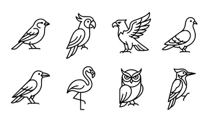 Elegant minimalist bird icons featuring common and exotic species in clean line art vector illustration set © Emdadul