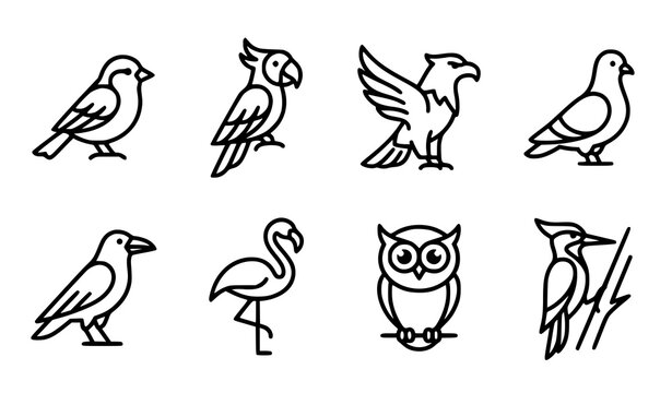 Minimalist bird line art icon set featuring sparrow parrot eagle pigeon crow flamingo owl and woodpecker vector collection