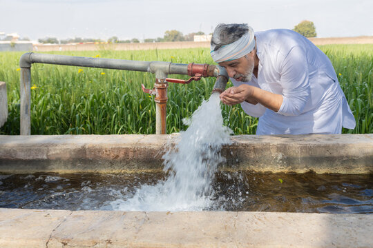 Indian farmer drinking fresh water from tube well irrigation pipe in agricultural field, rural life, farming, groundwater, crop irrigation, water supply, and agriculture in India