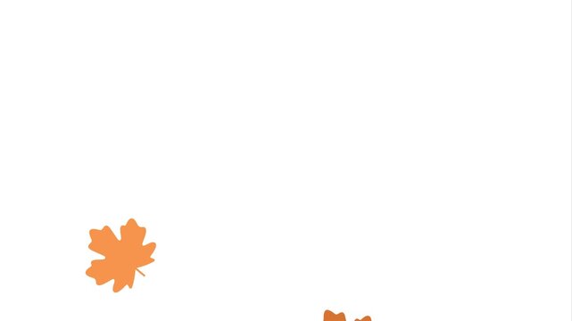 2D Animated Autumn Maple Leaves Falling on White Background. 
