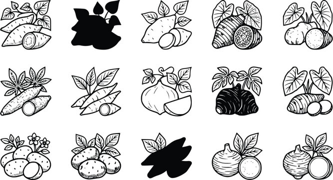 Hand Drawn Root Vegetables Icons Collection &ndash; Cassava, Taro, Yam, Potato and Turnip Vector Illustration Set