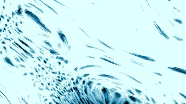 water drops on the glass