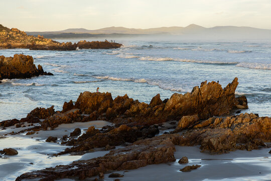 Sunset and dusk settling over beautiful Kammabaai Beach, Hermanus, South Africa