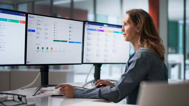 Mature Woman Using Computer Screens To Process Payroll
