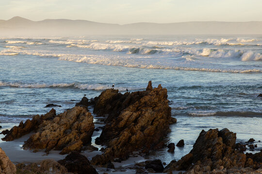Sunset and dusk settling over beautiful Kammabaai Beach, Hermanus, South Africa