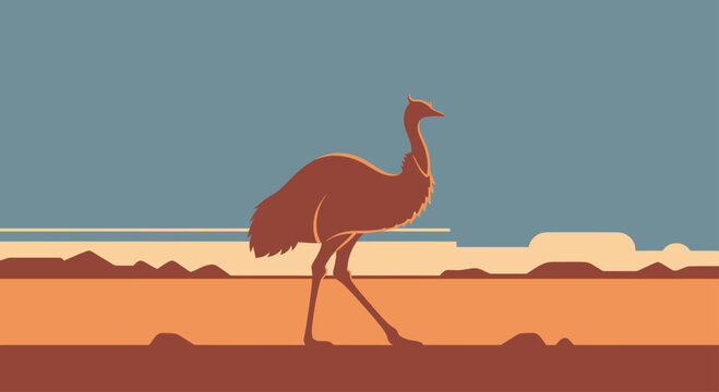 Emu walking in Australian outback landscape.