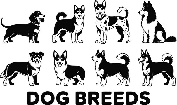 Dog breeds collection featuring various pet silhouettes and animal portraits.