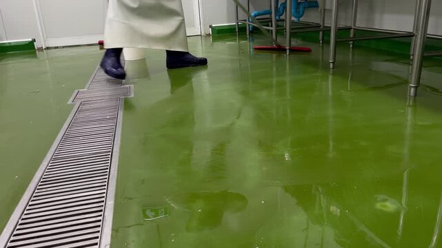 Worker removing water from the production floor after cleaning operations in a food manufacturing facility. Sanitation procedure supporting workplace hygiene, food safety, and operational cleanliness.
