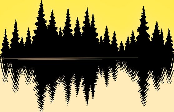 rows of pine trees and their reflections in the lake water