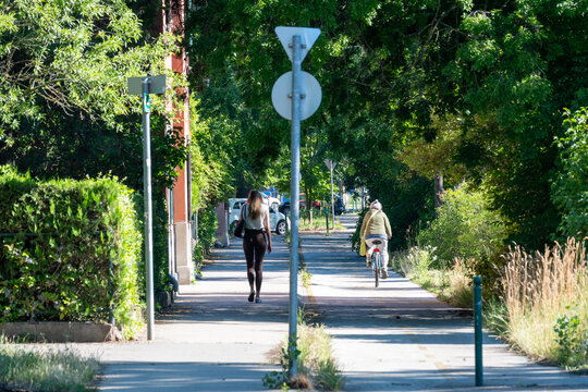 Shared Pedestrian and Bicycle Path