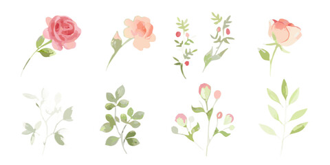 Floral arrangement vector illustration with rosebuds leaves and berries © Parul