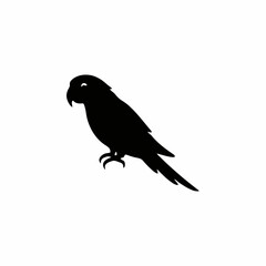 Fototapeta premium vector illustration of a bird