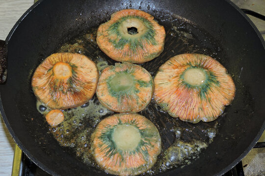 Frying saffron milk cap mushrooms in a pan with butter