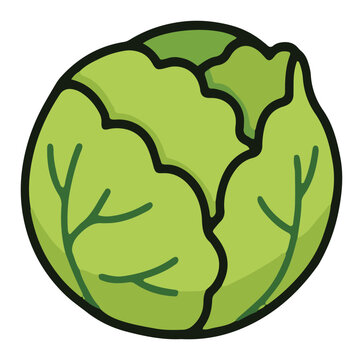 Round Green Cabbage Cartoon Clipart with Clean Modern Outline