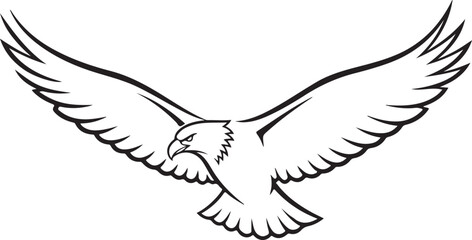Fototapeta premium Eagle Bird Illustration Flying With Spread Wings In Mid Air