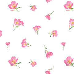 Watercolor Pink Evening Primrose Floral Seamless Pattern with Scattered Flower Sprigs on White Background © Aziz