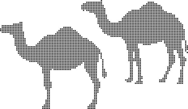 Two camels in cross stitch pattern on white background
