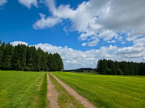 germany, inviting hiking trail through flourishing pastures toward enchanting forest edge in stunning black forest countryside